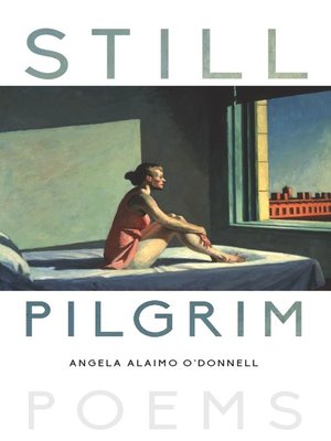 cover image of Still Pilgrim